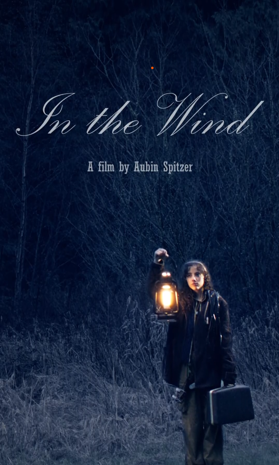 In the Wind (2026)